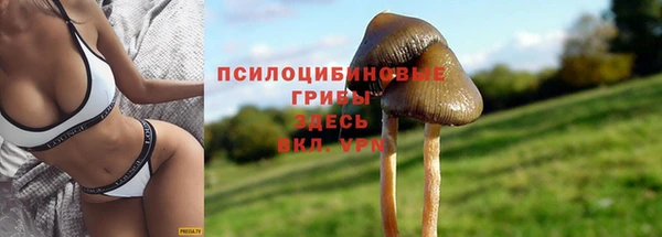 дживик Магас