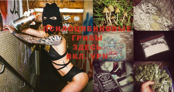 дживик Магас